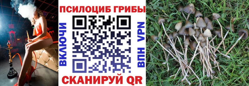купить   Лангепас  Галлюциногенные грибы ЛСД 
